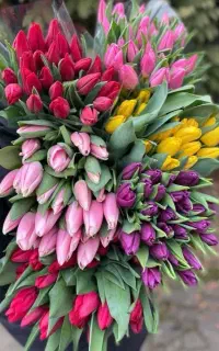 فروش خرمای فله ۵کیلویی درجه یک