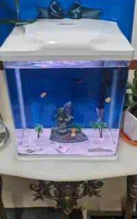 آکواریوم
