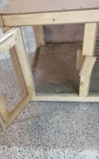 قفس