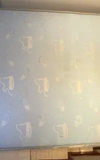 تشک طبی ۱/۲۰ رویا