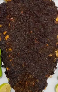 غذای خونگی