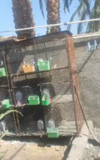 جفت کن 9 تایی با تمام وسایل  14500