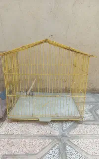 قفس فنچ مرغ عشق سهره قناری