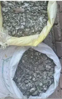 کود کبوتر