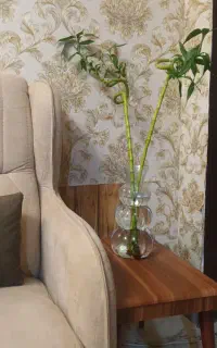 گل و گیاه