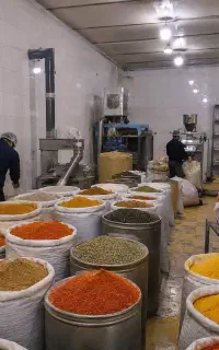دوره آموزش تخصصی تولید ادویه‌های ترکیبی  لیوسا