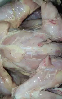 مرغ کامل پوست و تمیز شده غذای سگ