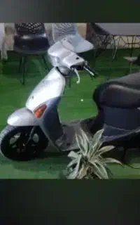 متور پاکشتی