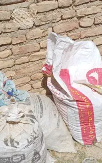 کودکفتر