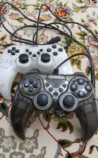 دوعدد دسته ی کامپیوتر