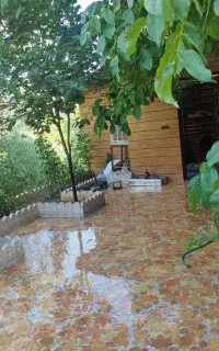 سوییت کلبه اجاره ای
