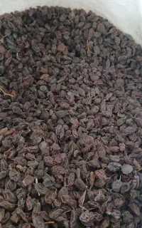 کشمش فرد اعلا