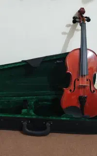ویالن نو