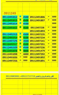 09113746308