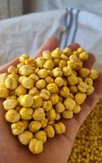 نخودچی درجه یک و متوسط در کارتن و گونی