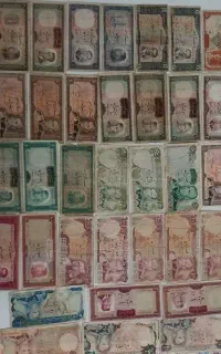 مجموعه اسکناس