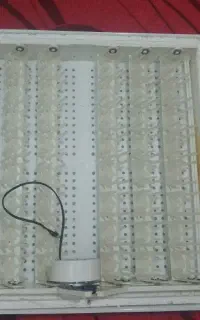 دستگاه جوجه کشی