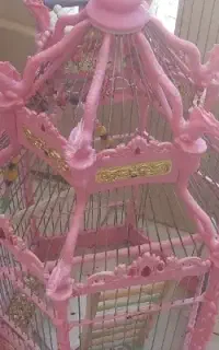 پرنده