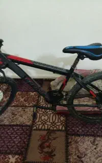 دچرخه