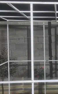 قفس