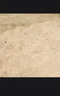 کاه