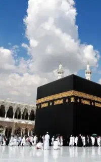 حج واجب