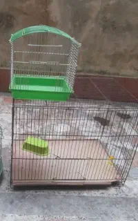 ۲ تا قفس پرنده