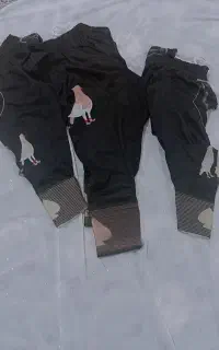 مردانه و بچگانه
