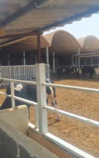 کارکرگاوداری