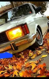 دفترحواله فیدیلیتی