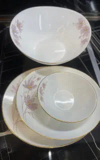 ظروف سرو آرکوپال