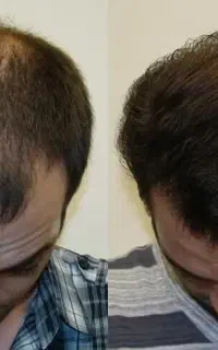 بهترین از این نداریم