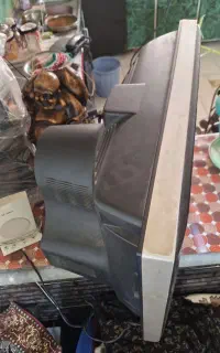 تلوزیون ایکس ویژن  سالم