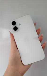 16normal