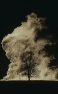 خریدار تفنگ بادی