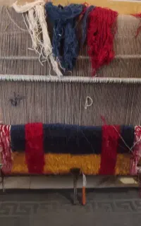 دارقالی سالم