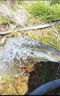 حفاری چاه اب و چاه کن فاضلاب عباسی