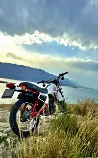 تریل 150طرح XL