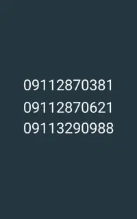 0911/287/0381