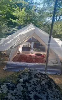 یک تخت 12 متری