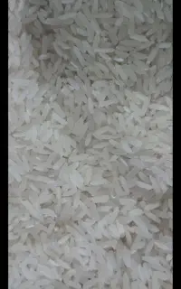 برنج درجه ۱امسال،بشرط پخت