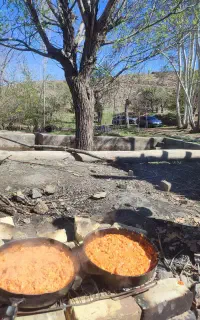 طبیعت گردی باجمع باحال