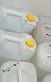 کاسنی تند برای چربی های ردن