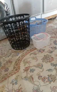 سبد