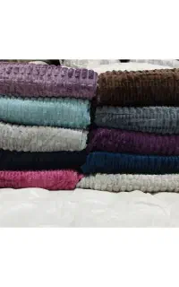 پتومسافرتی ارزان وباکیفیت