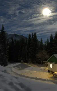 آموزش و استخدام تریدر