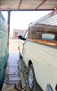 فروشی