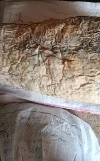 موتال پنیری خوشمزه تازه