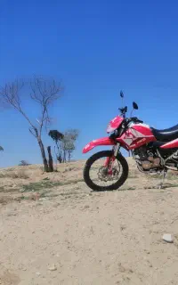 تریل t2 250 کویر