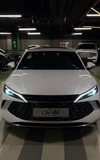 بی وای دی‌ چین ال ۲۰۲۵،فروش/پذیرش،نقد و اقساط